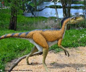 Puzzle Troodon